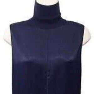 Silk Rag & Bone Turtleneck Dress